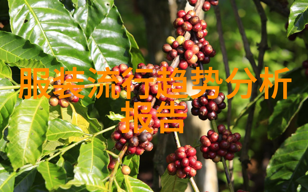 军绿色的大衣搭配什么颜色的围巾好看